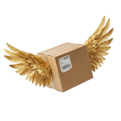 Free Shipping